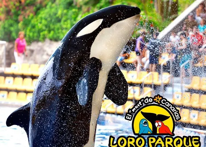 Beautiful Americas Playa Del Bobo Apartment *