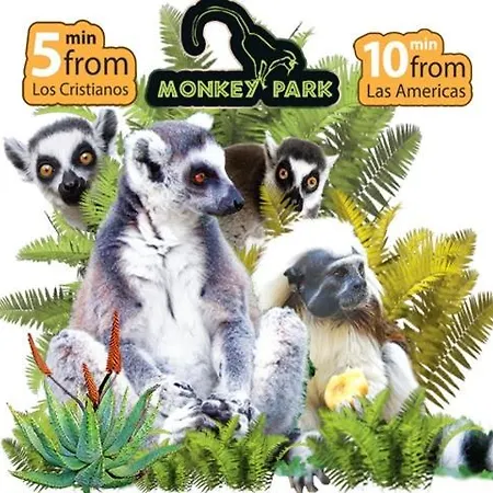 Beautiful Americas Playa Del Bobo 플라야데라스아메리카스