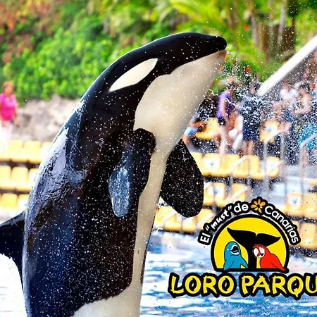 Beautiful Americas Playa Del Bobo 아파트 *