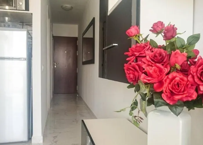 Beautiful Americas Playa Del Bobo *