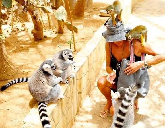 Апартаменти Beautiful Americas Playa Del Bobo