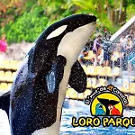 Beautiful Americas Playa Del Bobo Apartamento *